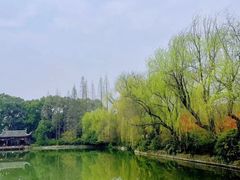 -棠湖公园