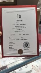 -DR钻戒(成都银泰城店)