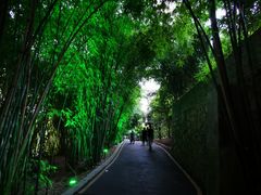 -贵阳市花溪国家城市湿地公园