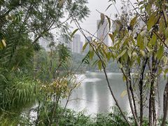 -重庆彩云湖湿地公园