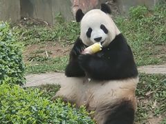 -大连森林动物园