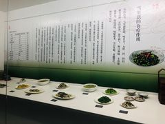 -鄞州雪菜博物馆