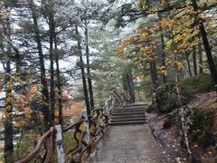 -汤旺河林海奇石景区