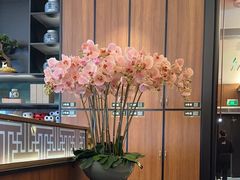 -新白鹿餐厅(爱琴海购物中心店)