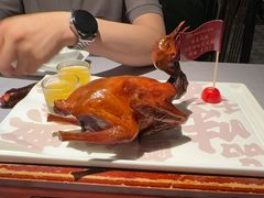 -大鸽饭(体育西路店)