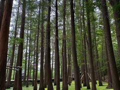 -云龙湖旅游景区