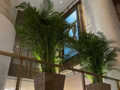 -王府半岛酒店