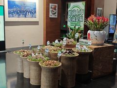 -黔蘑菇四季餐厅(观山湖店)