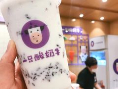 -一只酸奶牛(八一路店)