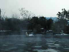 -楼观道温泉酒店