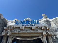 -上海海昌海洋公园-冰山北极馆
