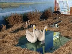 -延庆地质公园博物馆