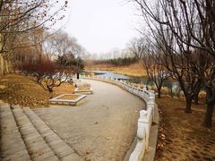 -大望京公园