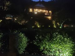 -十八棵（老龙井）御茶园(老龙井店)