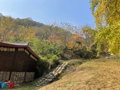 -千年银杏谷文化旅游区