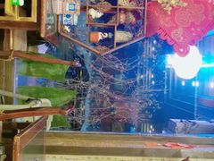 -渝新·干锅鸭头·川菜(总店)
