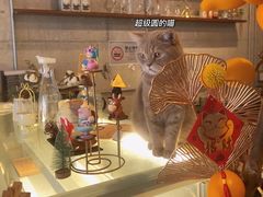-MIMO CAFE(沙头角店)