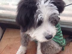 -庐州太太(双岗店)