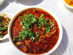 水煮岷江河黄辣丁-胖大姐黄辣丁鱼庄(新津店)