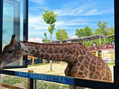 -鄂尔多斯野生动物园