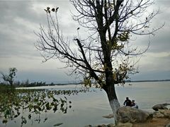 android_upload_pic-西昌邛海湿地