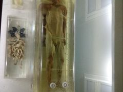 -荆州博物馆