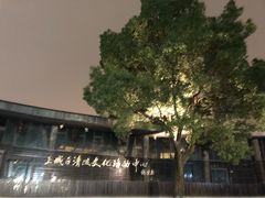 -吴山路夜市