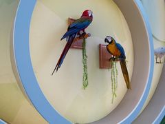 -陕西自然博物馆