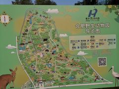 -合肥野生动物园