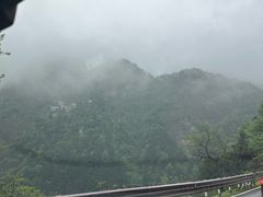 -曾福兴