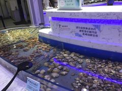 水产区-澜悦港海鲜体验主题餐厅