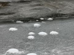 -白河湾生态旅游一条川