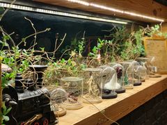 -出走咖啡·面包(宋庄店)