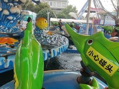 -芜湖新华联大白鲸海洋公园