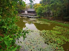 -深圳国际园林花卉博览园