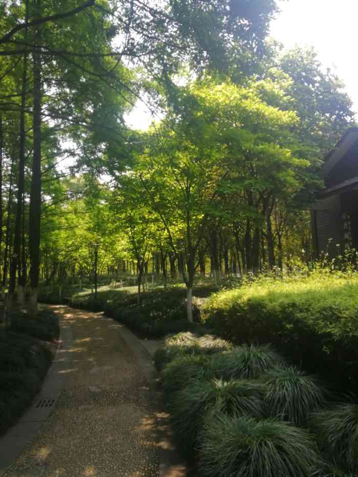 钱江新城森林公园-"因为汪正摄影拍外景 取景地选了森林公园 .