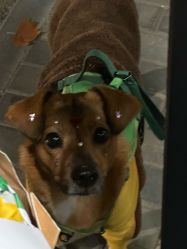 -G-STEPS舞蹈工作室