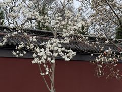 -钱王祠