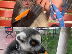 -水上乐园·欢乐世界