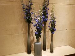 -北京王府井天伦王朝酒店