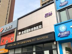 -宠爱国际动物医院· 猫科· 外科·中兽医(长白店)
