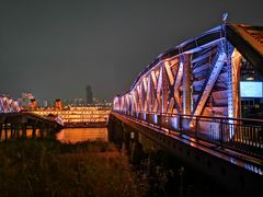 -武汉知音号