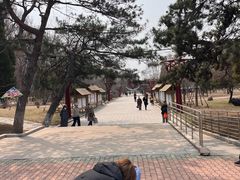 -二一九公园