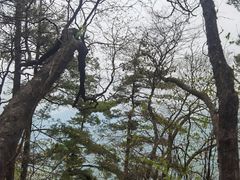 -秦岭天竺山景区