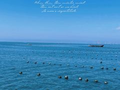 -东戴河风景区