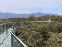 -陶祖圣境风景区