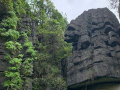 -梭布垭石林景区