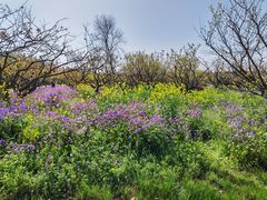 -上海海湾国家森林公园