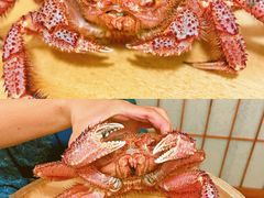 -蟹田居·活蟹料理(东城店)