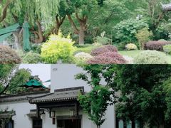 -杭州西湖柳莺里酒店